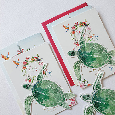 Turtle — 20240411_144644.jpg