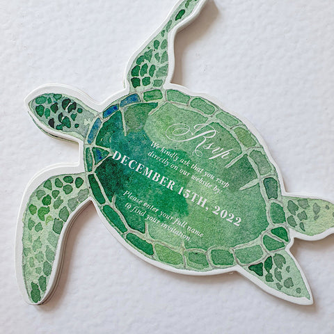 Turtle — 20240411_145629.jpg