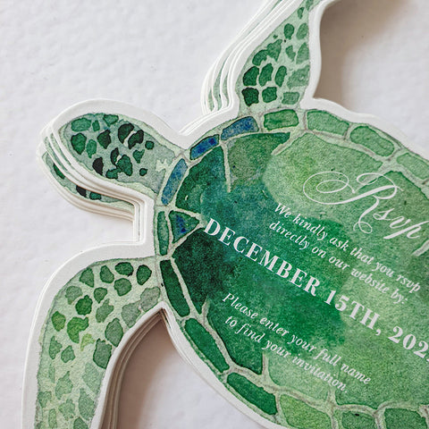 Turtle — 20240411_145650.jpg