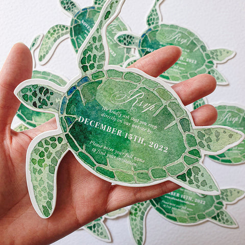 Turtle — 20240411_145957.jpg