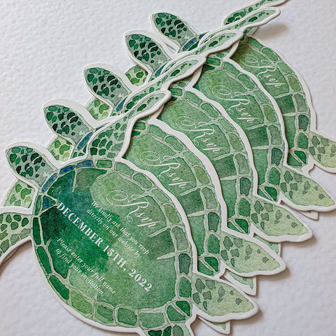 Turtle — 20240411_151230.jpg
