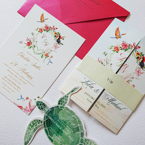 Turtle — 20240411_151942.jpg