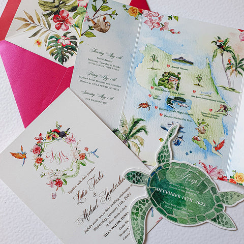 Turtle — 20240411_153550.jpg