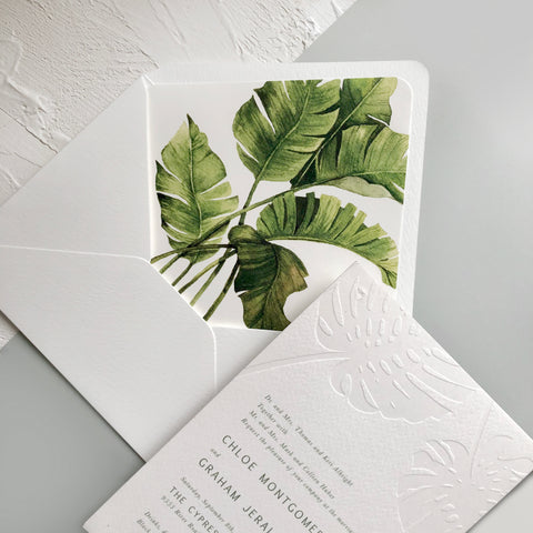 Monstera — 6.jpg